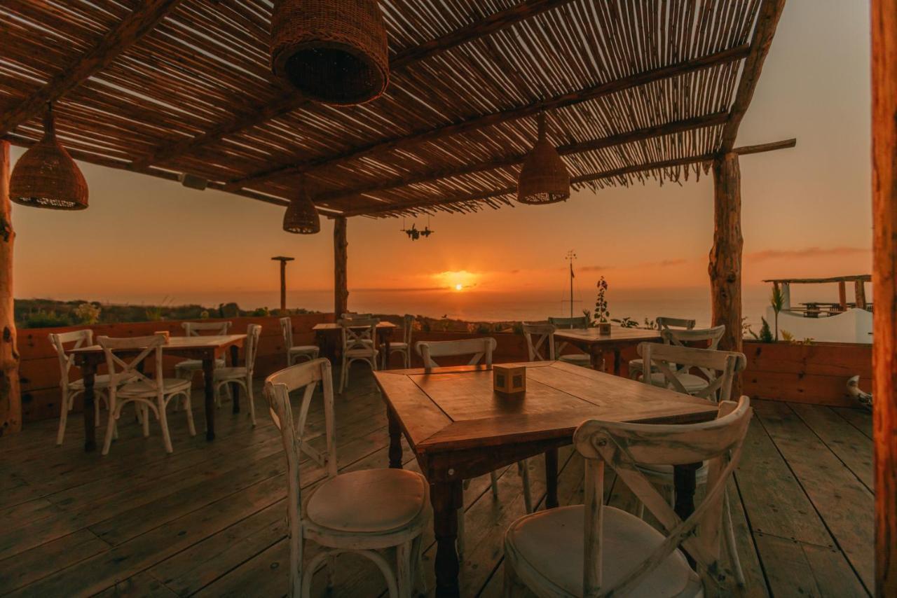 Nest Baja Hotel San Jose del Cabo Bagian luar foto